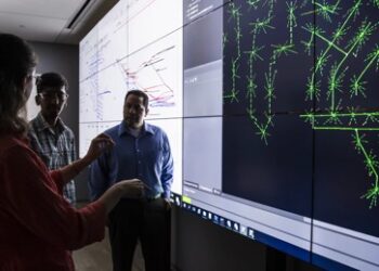 ¿Para qué sirve el control de flotas?