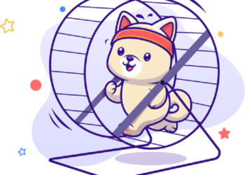 Kishu Inu crypto 2