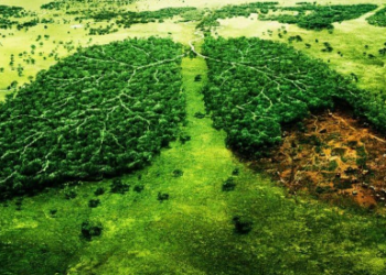 Basta de tratar a la naturaleza como un váter