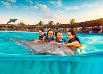nadar con delfines