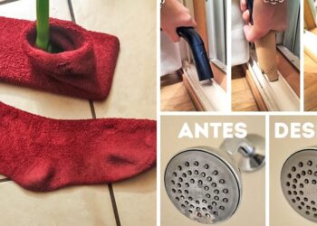 Trucos favoritos de la vida cotidiana