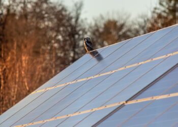 paneles solares