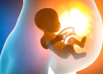 Importancia que tienen las clínicas de fertilidad en la actualidad