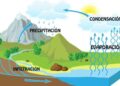 Condensación, una parte fundamental en el ciclo del agua
