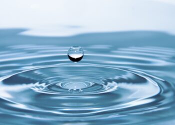 Consejos para no desperdiciar agua: así es cómo hacerlo