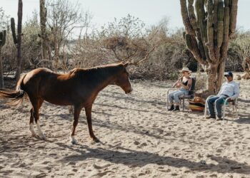 Significado del nombre Otoniel: Descubre todo lo que necesitas saber