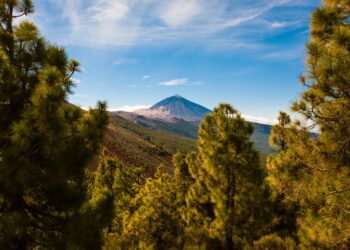 Significado de Quetzalli: Descubre qué significa el nombre Quetzalli y su origen