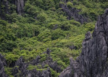 Descubre el significado y la historia detrás del nombre Quisqueya