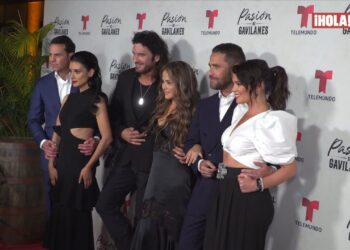 Descubre la Trayectoria y los Secretos del Actor Principal de Pasión de Gavilanes