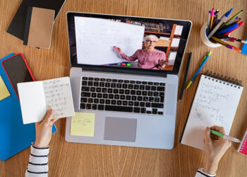 ¿Por qué utilizar BullPerformanze?