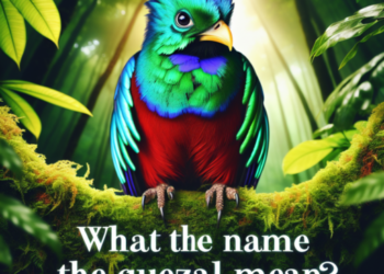 que significa el nombre quetzal
