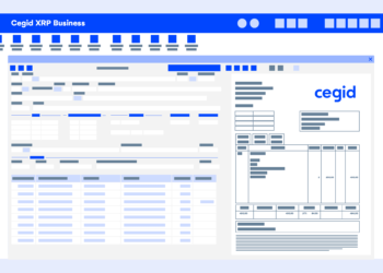 Software ERP y su aplicación en pymes
