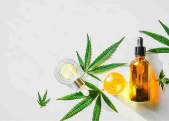CBD al por mayor en España: cómo encontrar un distribuidor fiable y competitivo